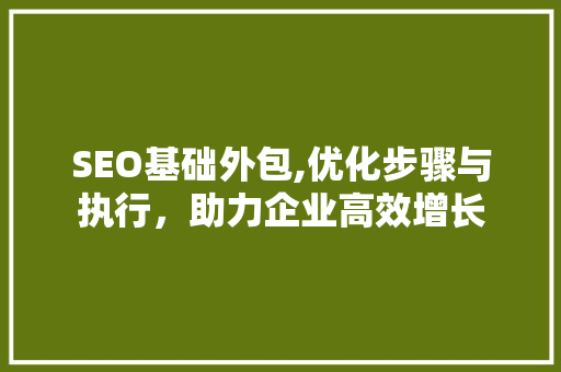 SEO基础外包,优化步骤与执行，助力企业高效增长  第1张