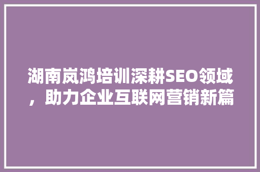 湖南岚鸿培训深耕SEO领域，助力企业互联网营销新篇章