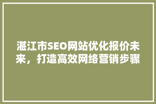 湛江市SEO网站优化报价未来，打造高效网络营销步骤