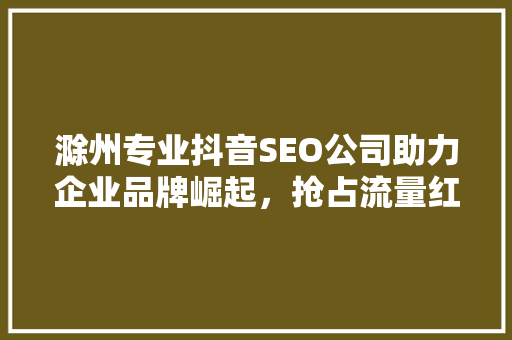 滁州专业抖音SEO公司助力企业品牌崛起，抢占流量红利