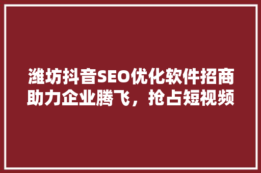 潍坊抖音SEO优化软件招商助力企业腾飞，抢占短视频营销新风口