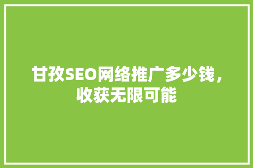 甘孜SEO网络推广多少钱，收获无限可能