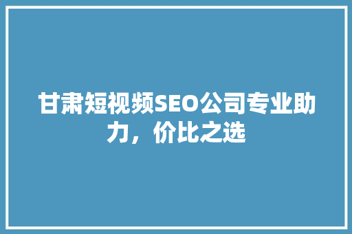 甘肃短视频SEO公司专业助力，价比之选