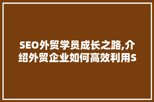 SEO外贸学员成长之路,介绍外贸企业如何高效利用SEO优化步骤