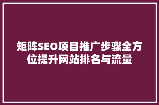 矩阵SEO项目推广步骤全方位提升网站排名与流量