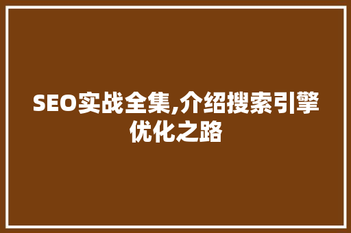 SEO实战全集,介绍搜索引擎优化之路