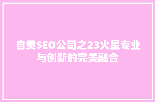 自贡SEO公司之23火星专业与创新的完美融合