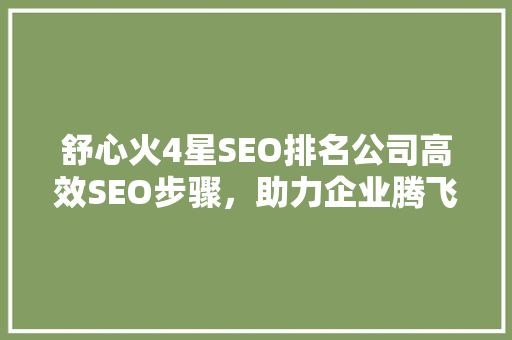 舒心火4星SEO排名公司高效SEO步骤，助力企业腾飞