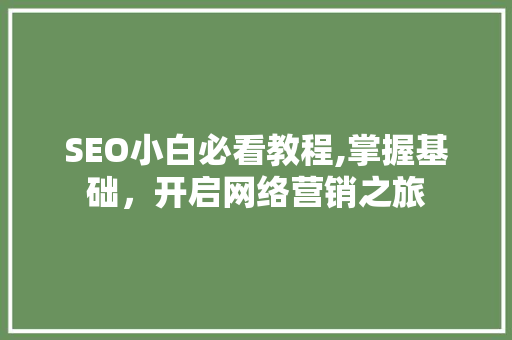 SEO小白必看教程,掌握基础，开启网络营销之旅  第1张