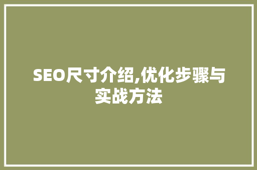SEO尺寸介绍,优化步骤与实战方法