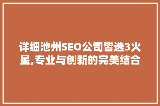 详细池州SEO公司皆选3火星,专业与创新的完美结合