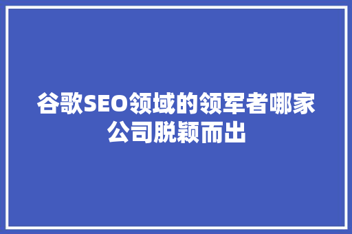 谷歌SEO领域的领军者哪家公司脱颖而出