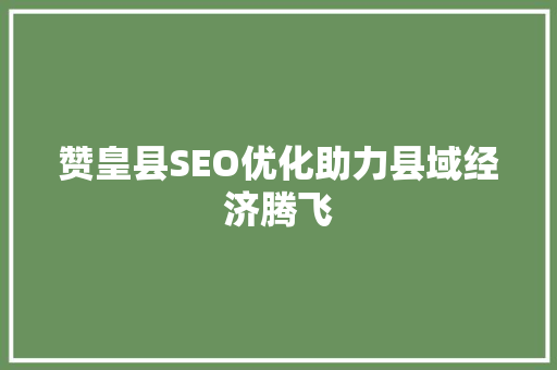 赞皇县SEO优化助力县域经济腾飞
