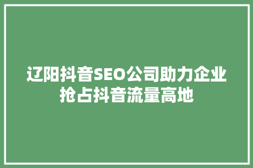 辽阳抖音SEO公司助力企业抢占抖音流量高地