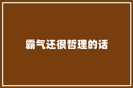 邢台SEO网站优化价比之选，助力企业互联网腾飞