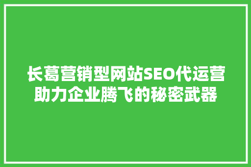 长葛营销型网站SEO代运营助力企业腾飞的秘密武器