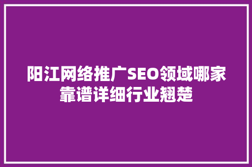 阳江网络推广SEO领域哪家靠谱详细行业翘楚