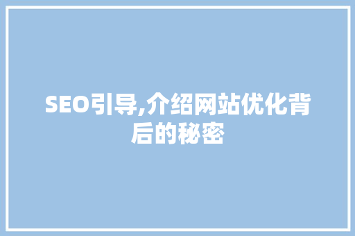 SEO引导,介绍网站优化背后的秘密  第1张