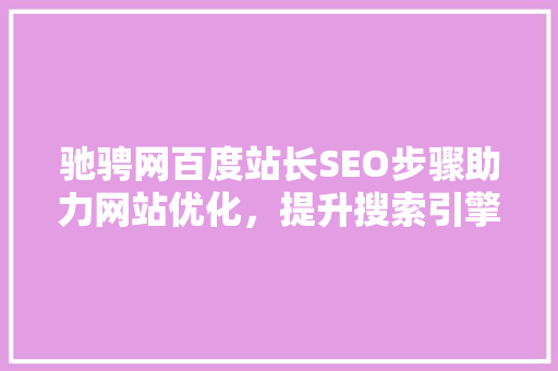 驰骋网百度站长SEO步骤助力网站优化，提升搜索引擎排名