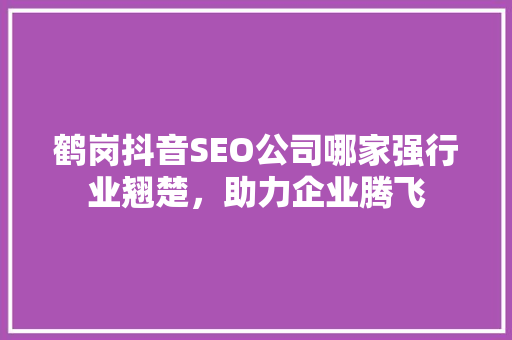 鹤岗抖音SEO公司哪家强行业翘楚，助力企业腾飞