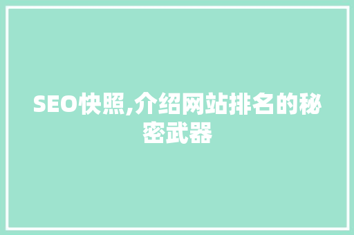 SEO快照,介绍网站排名的秘密武器  第1张