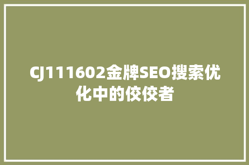 CJ111602金牌SEO搜索优化中的佼佼者