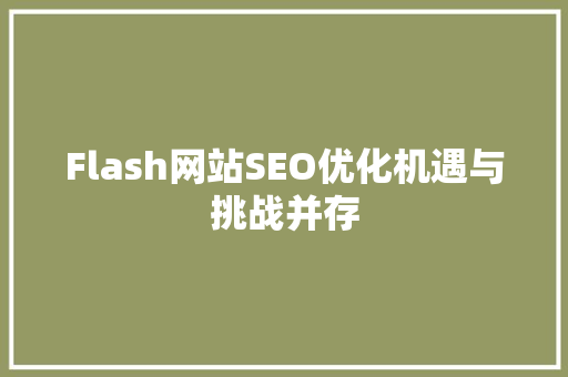 Flash网站SEO优化机遇与挑战并存