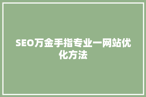 SEO万金手指专业一网站优化方法