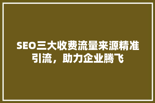 SEO三大收费流量来源精准引流，助力企业腾飞