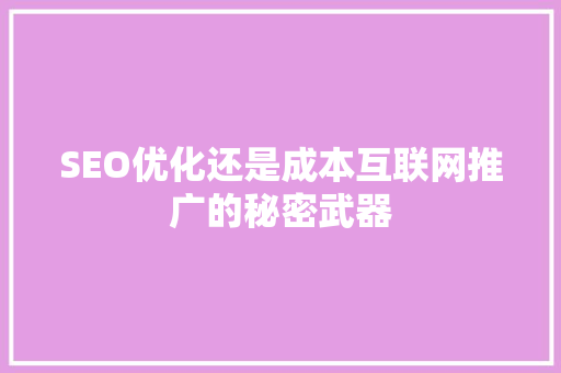 SEO优化还是成本互联网推广的秘密武器