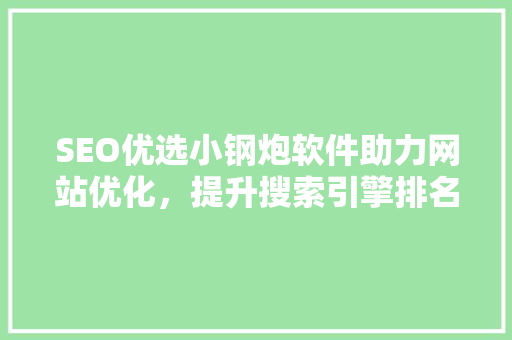 SEO优选小钢炮软件助力网站优化，提升搜索引擎排名