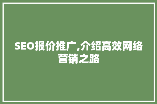 SEO报价推广,介绍高效网络营销之路