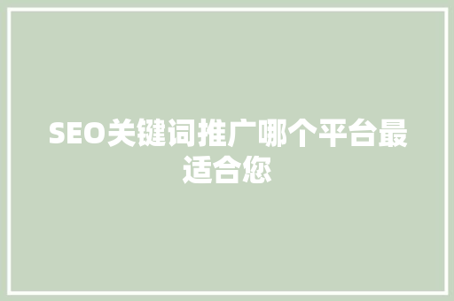 SEO关键词推广哪个平台最适合您