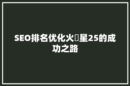 SEO排名优化火乛星25的成功之路