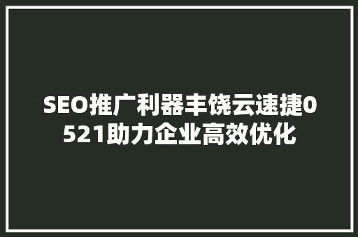 SEO推广利器丰饶云速捷0521助力企业高效优化