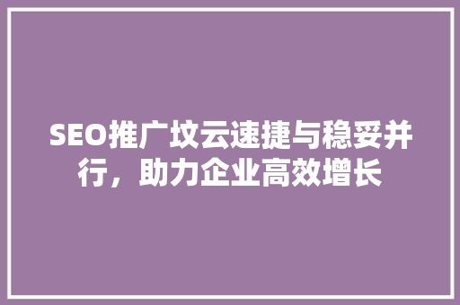 SEO推广坟云速捷与稳妥并行，助力企业高效增长