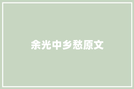 ShopifySEO攻略,打造高效电商网站，提升搜索引擎排名