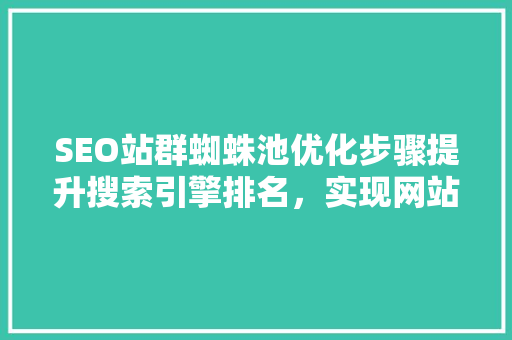 SEO站群蜘蛛池优化步骤提升搜索引擎排名，实现网站流量增长