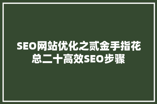 SEO网站优化之贰金手指花总二十高效SEO步骤
