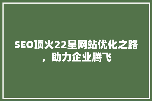 SEO顶火22星网站优化之路，助力企业腾飞