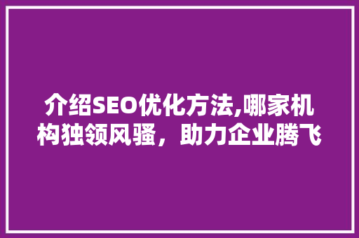 介绍SEO优化方法,哪家机构独领风骚，助力企业腾飞