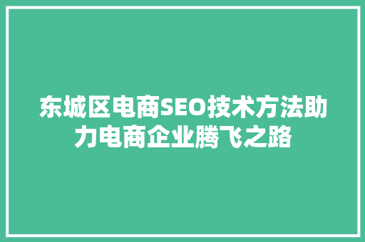 东城区电商SEO技术方法助力电商企业腾飞之路
