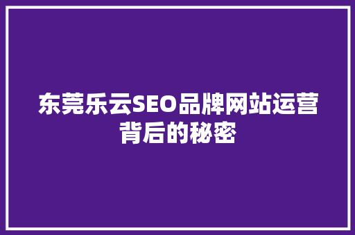 东莞乐云SEO品牌网站运营背后的秘密