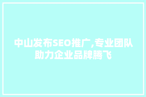 中山发布SEO推广,专业团队助力企业品牌腾飞