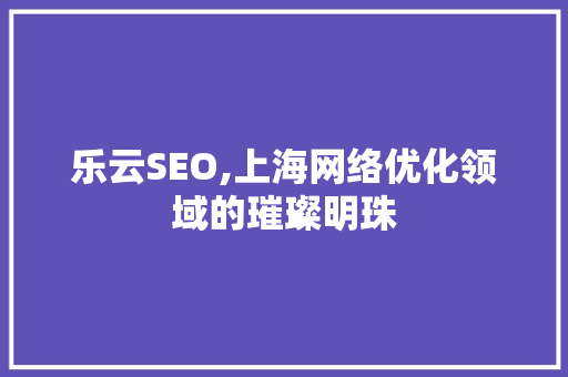 乐云SEO,上海网络优化领域的璀璨明珠