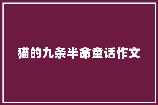 东莞SEO外包,行者SEO06助力企业提升网络竞争力