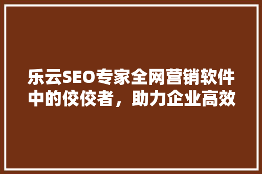 乐云SEO专家全网营销软件中的佼佼者，助力企业高效推广