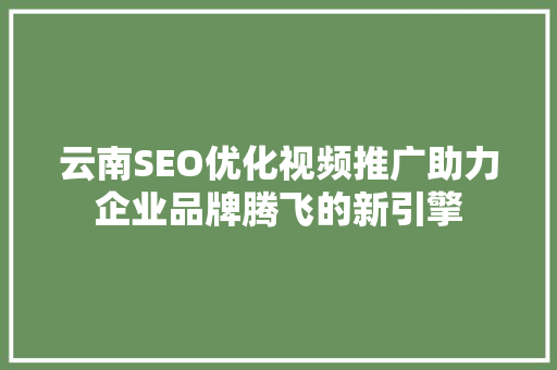云南SEO优化视频推广助力企业品牌腾飞的新引擎