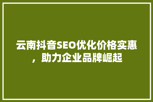 云南抖音SEO优化价格实惠，助力企业品牌崛起