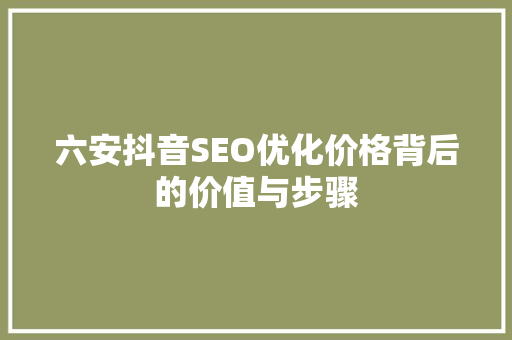六安抖音SEO优化价格背后的价值与步骤